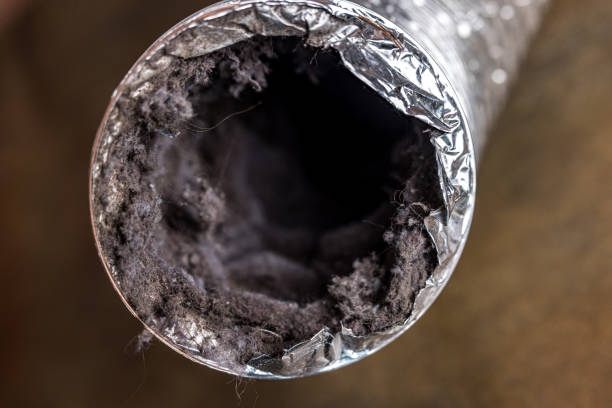 Best Local Air Duct Cleaning Services  in Ridgeville, SC