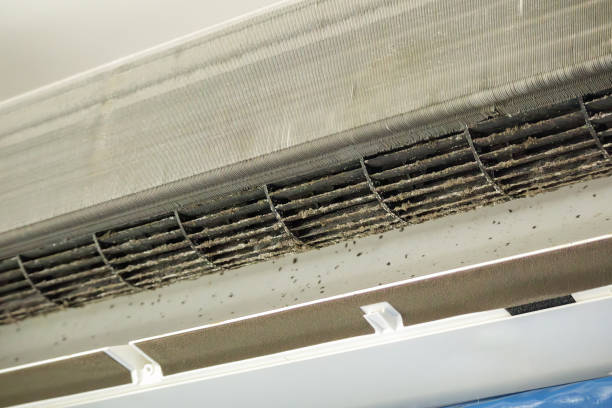 Best Professional Duct Cleaning Services  in Ridgeville, SC
